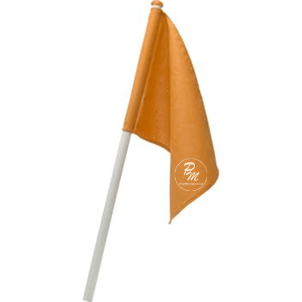 Zelf Bedrukken Vlag oranje met stok